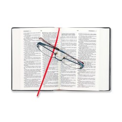 Bíblia DN42C | Preta | Capa vinil | Concordância | Letra pequena